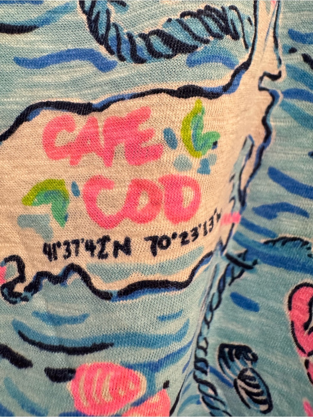 NWT Lilly Pulitzer Sz M Etta V-Neck Tee Bali Blue Lilly Loves Cape Cod - Picture 8 of 11